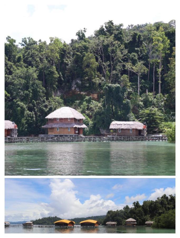 Dcoral Paradise Resort Pitsyor Buitenkant foto